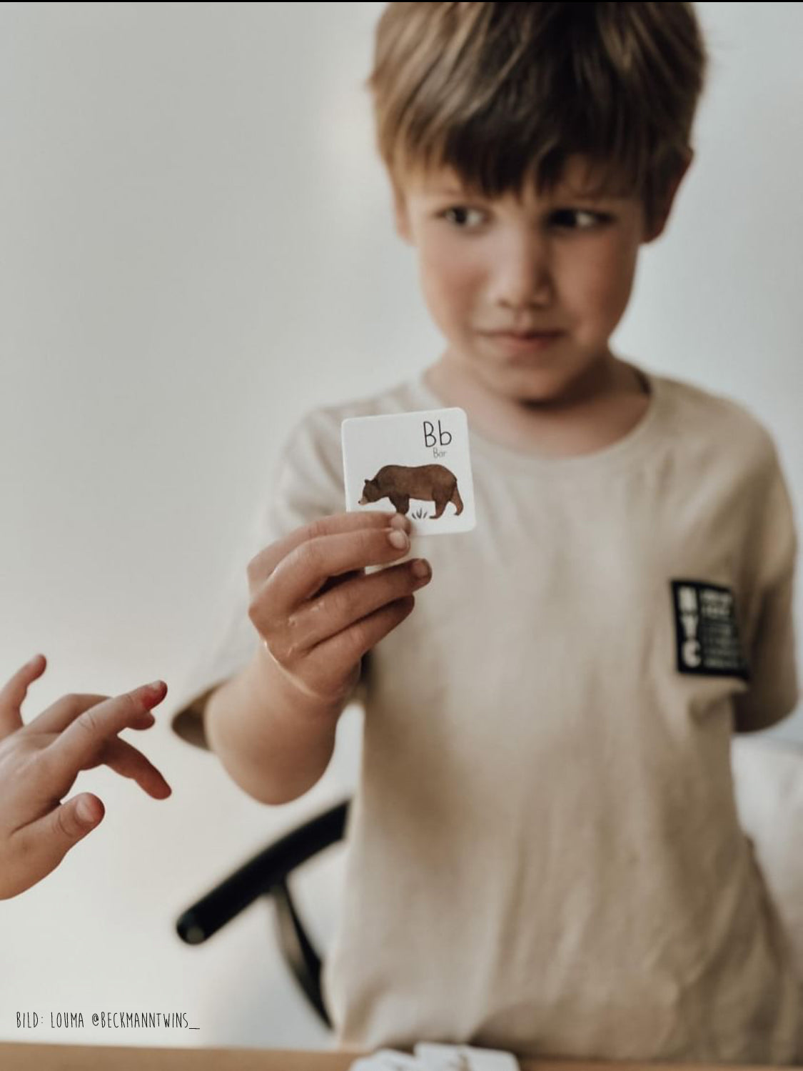 ABC Memo Game / Flashcards / ABC Learning Game / Basic Writing/Print Writing - Animal Alphabet