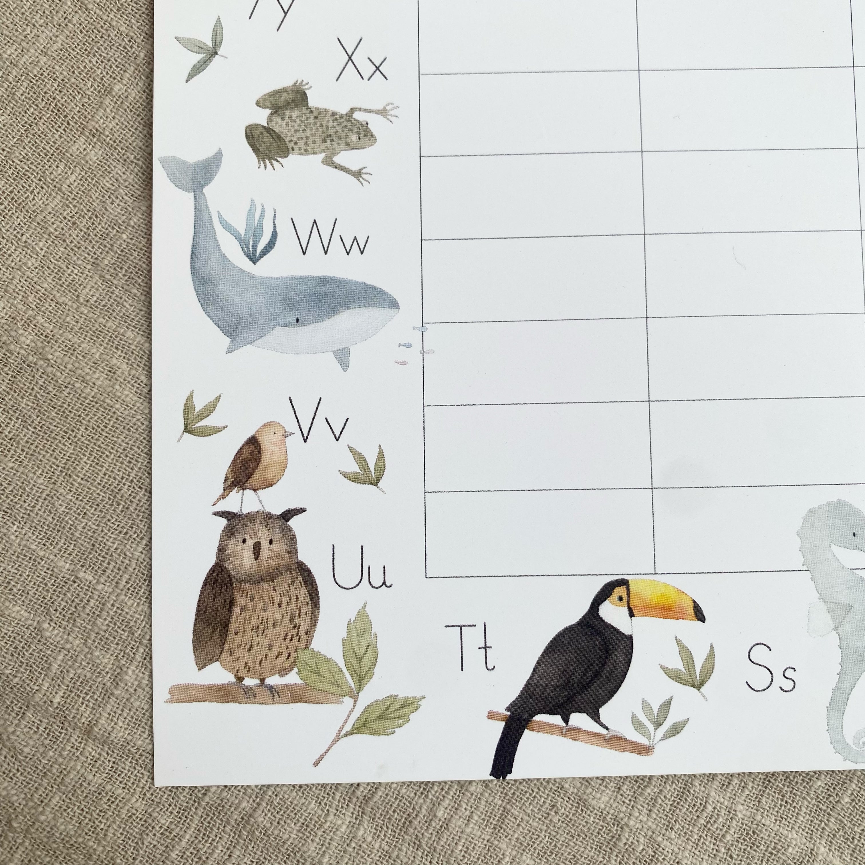 Timetable - ABC Animals