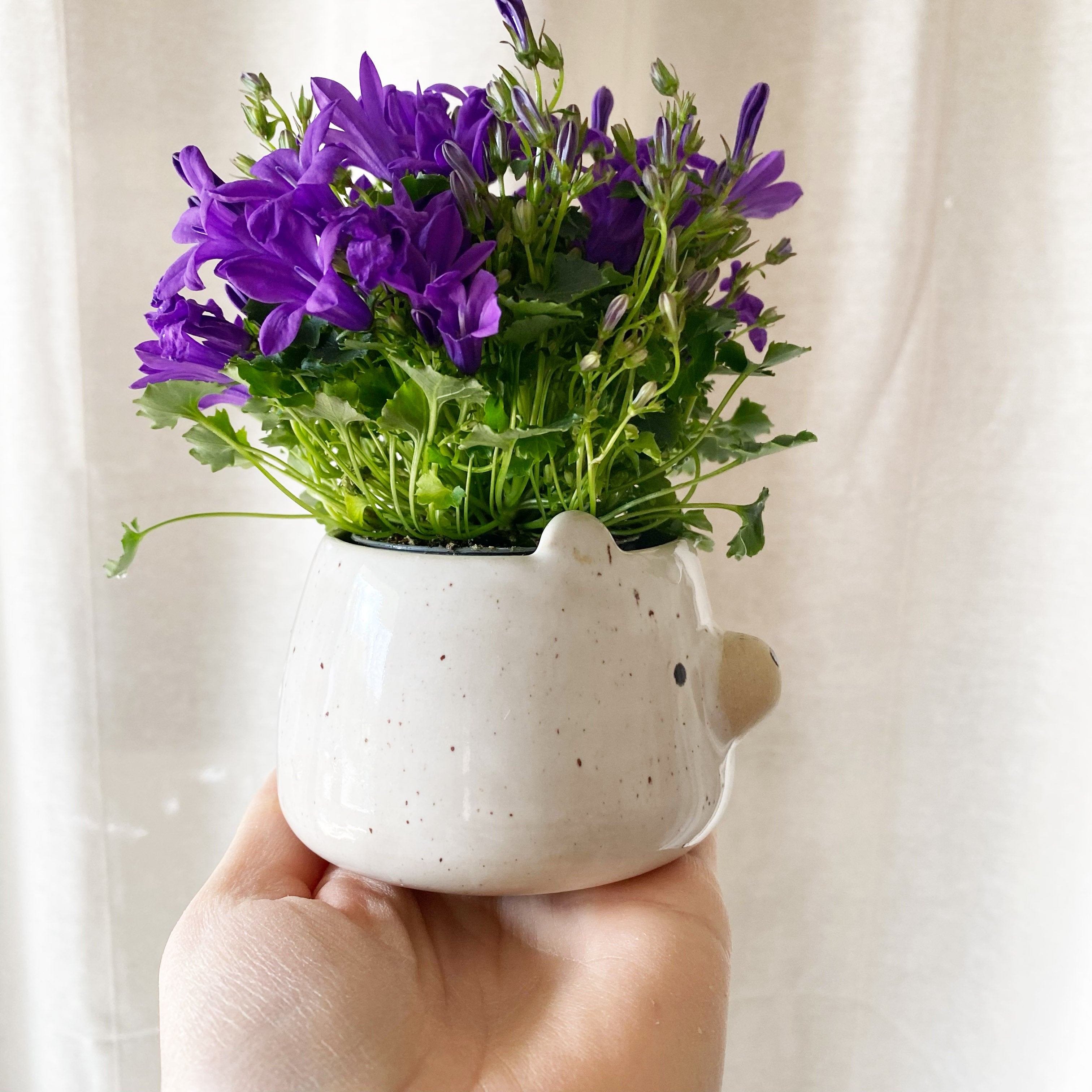VORBESTELLUNG : Wasserbehälter/ Blumentopf/Espressotasse - kleiner Bär