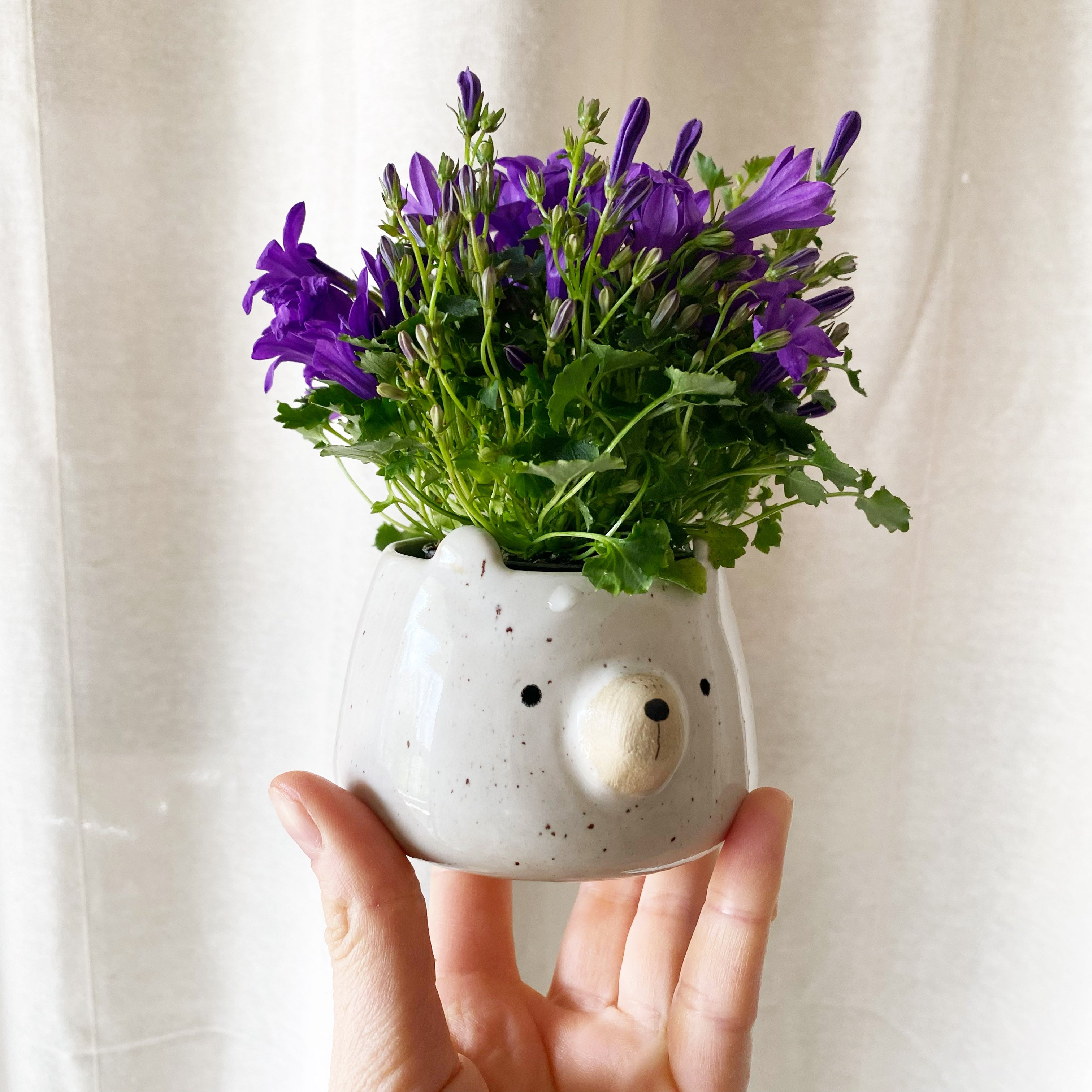 Water container/flower pot/espresso cup - little bear