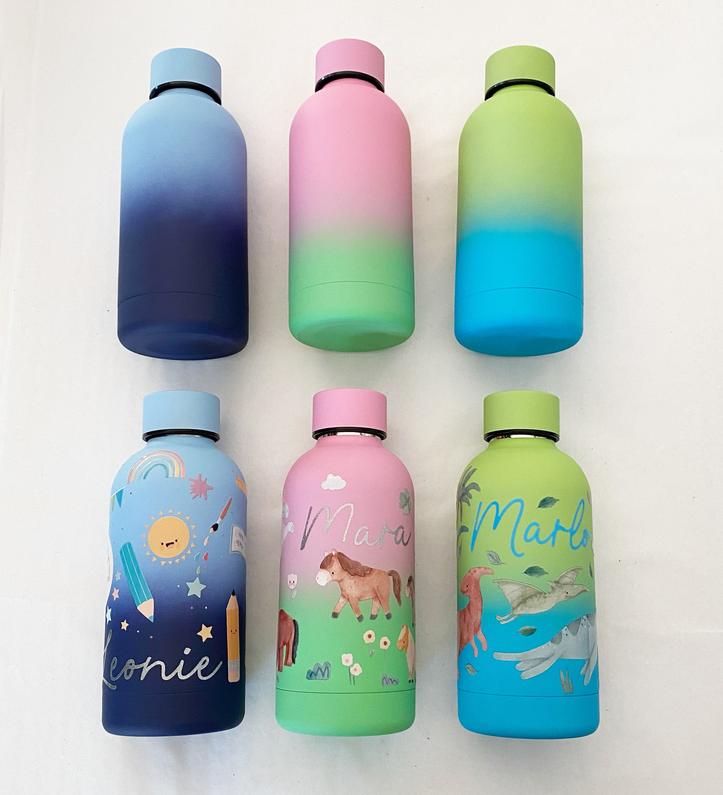 Thermos bottle / drinking bottle / school bottle - colorful