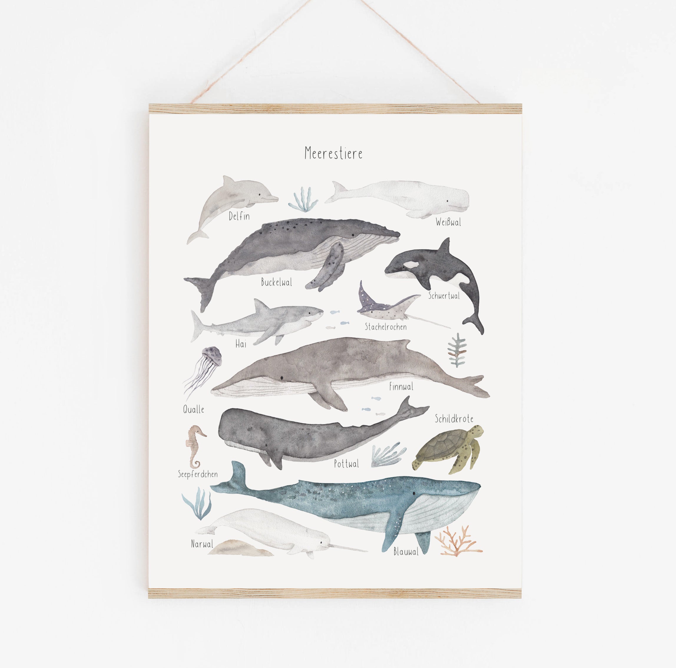 Poster/Kunstdruck - Meerestiere neu