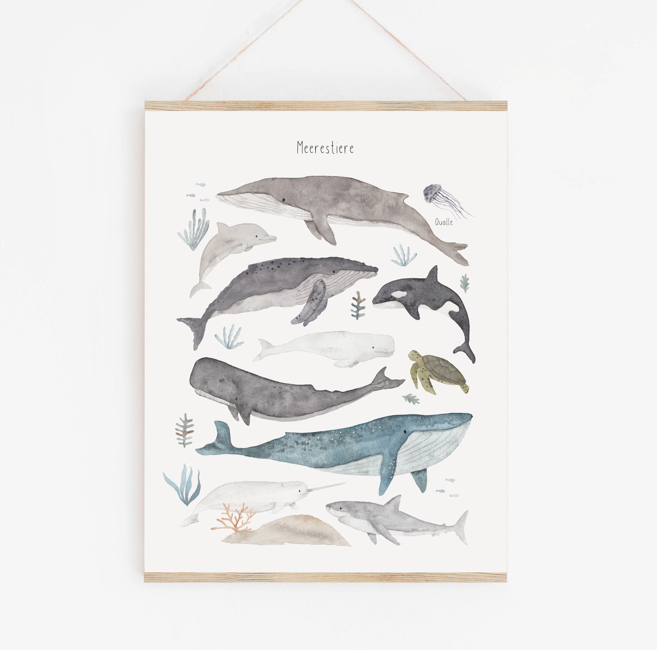 Poster/Kunstdruck - Meerestiere neu