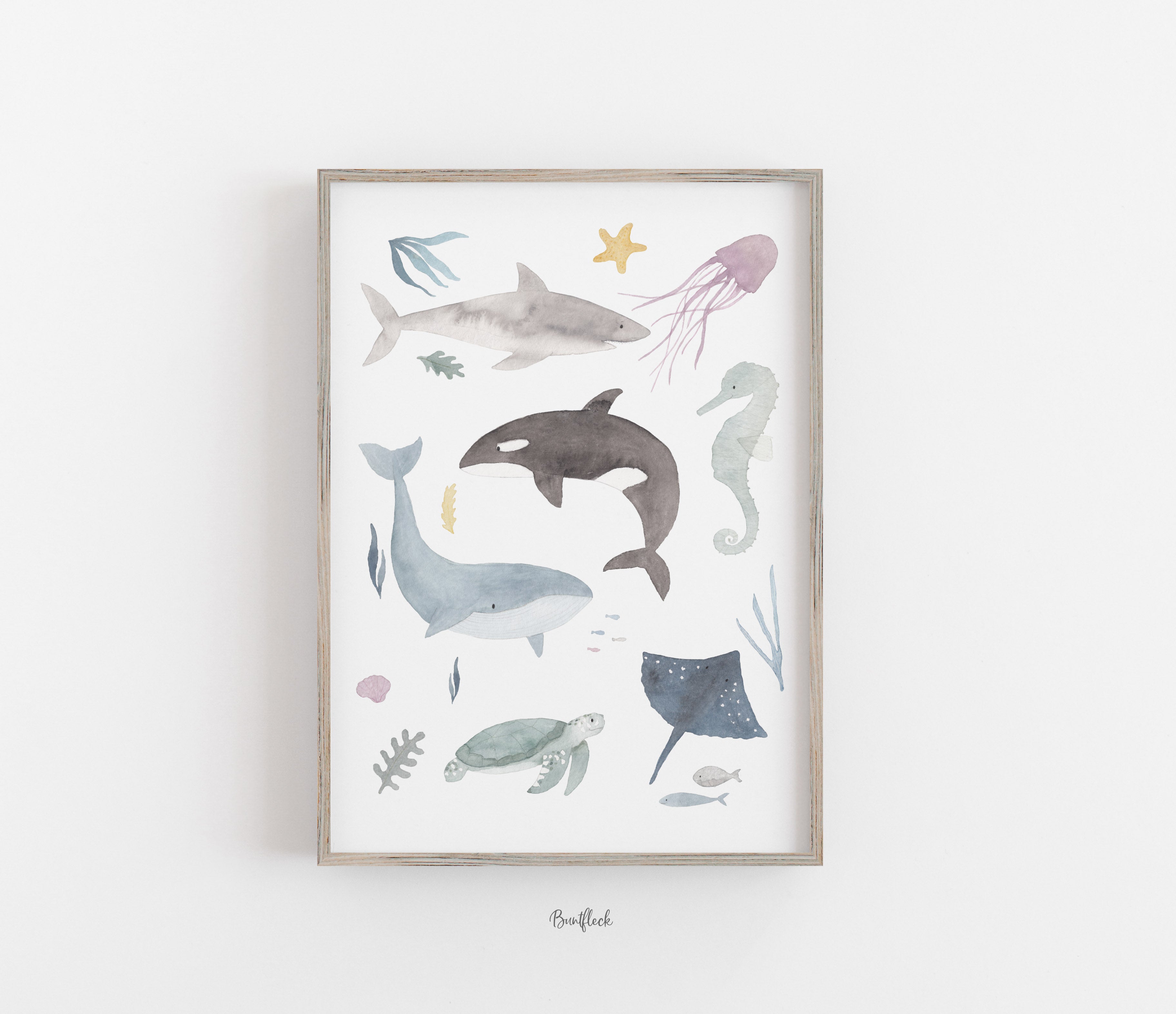 Kunstdruck / Poster - Meerestiere