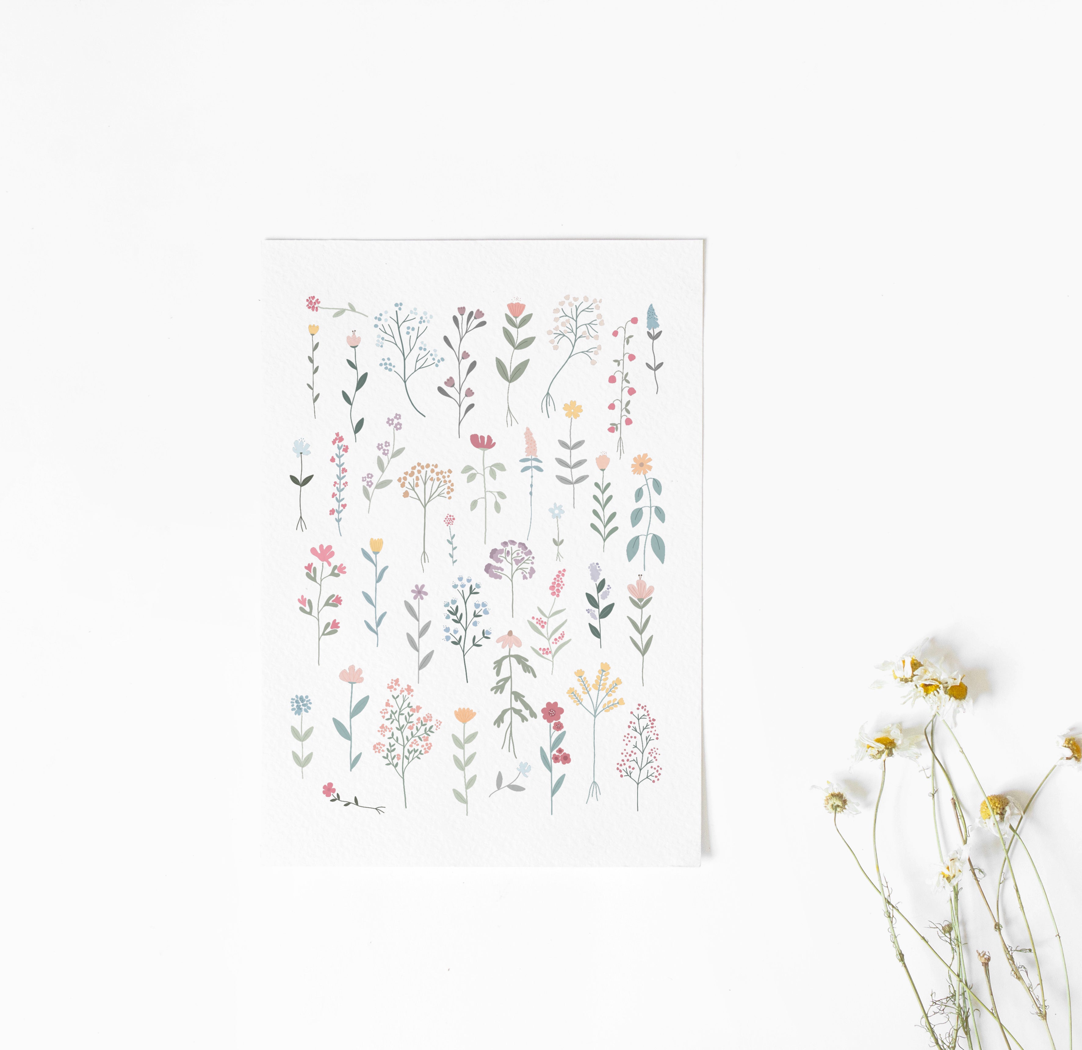 Card/Postcard - colorful flowers