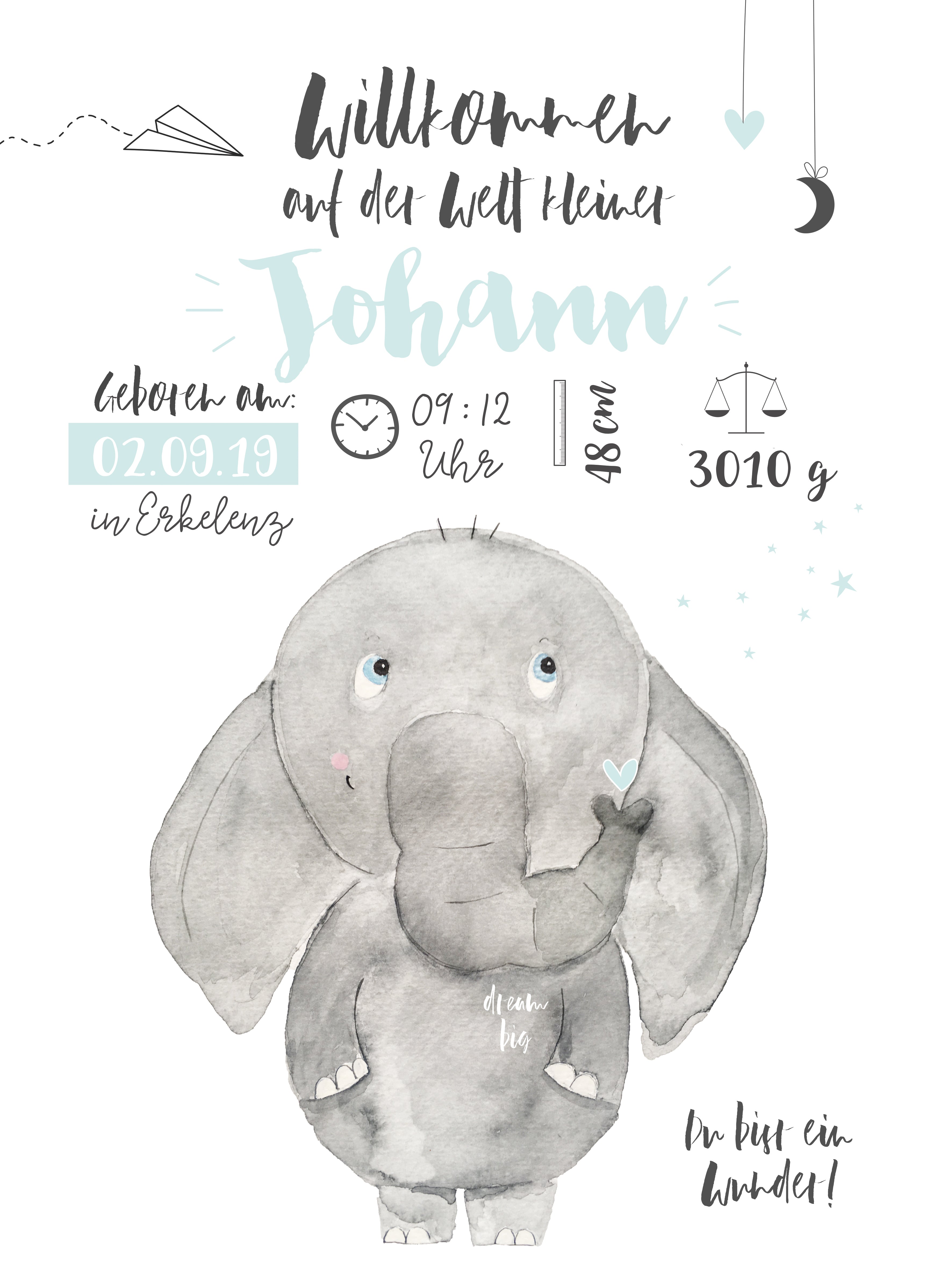 Birth picture/poster elephant Rudi