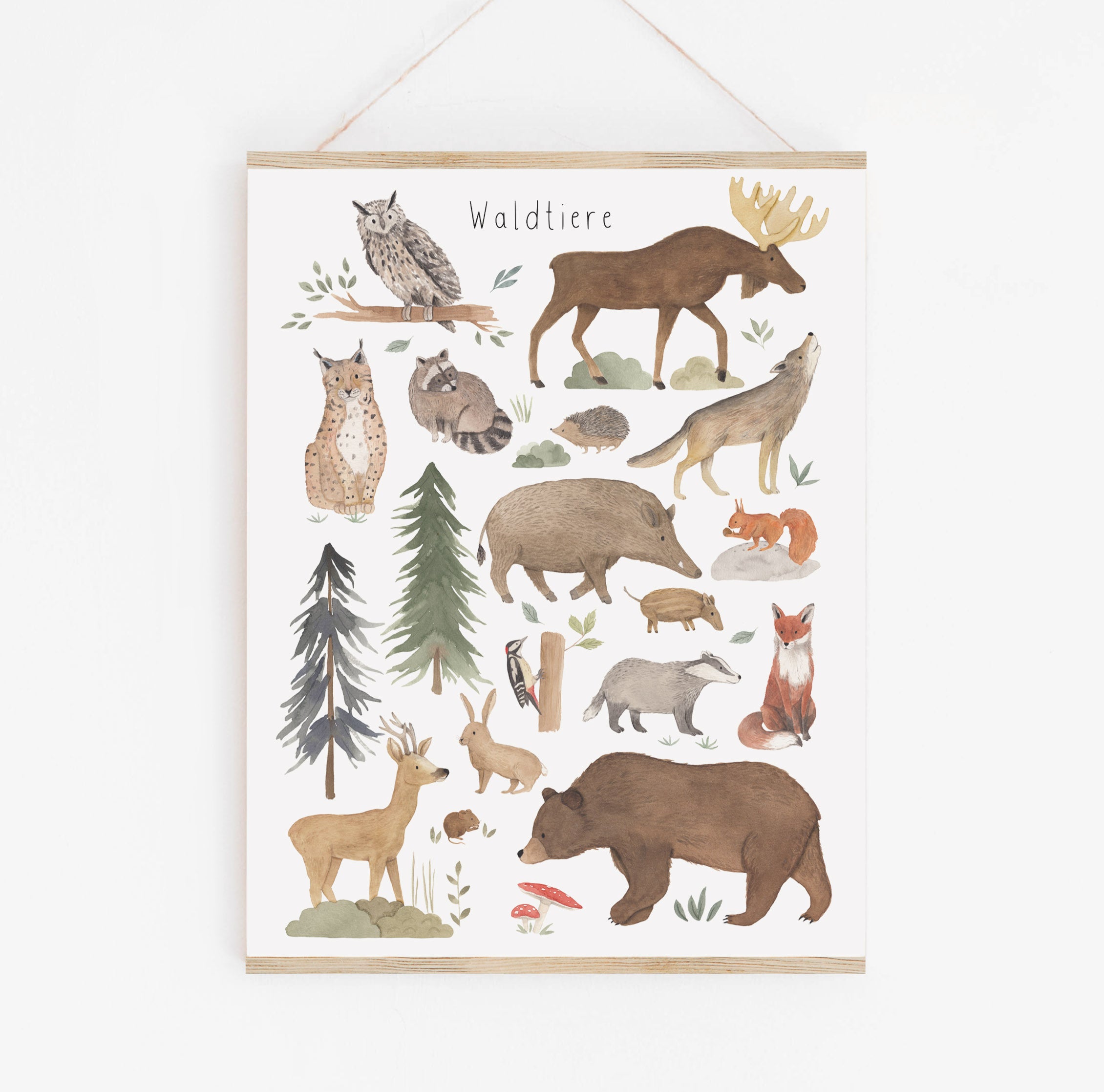 Poster/Kunstdruck - Waldtiere
