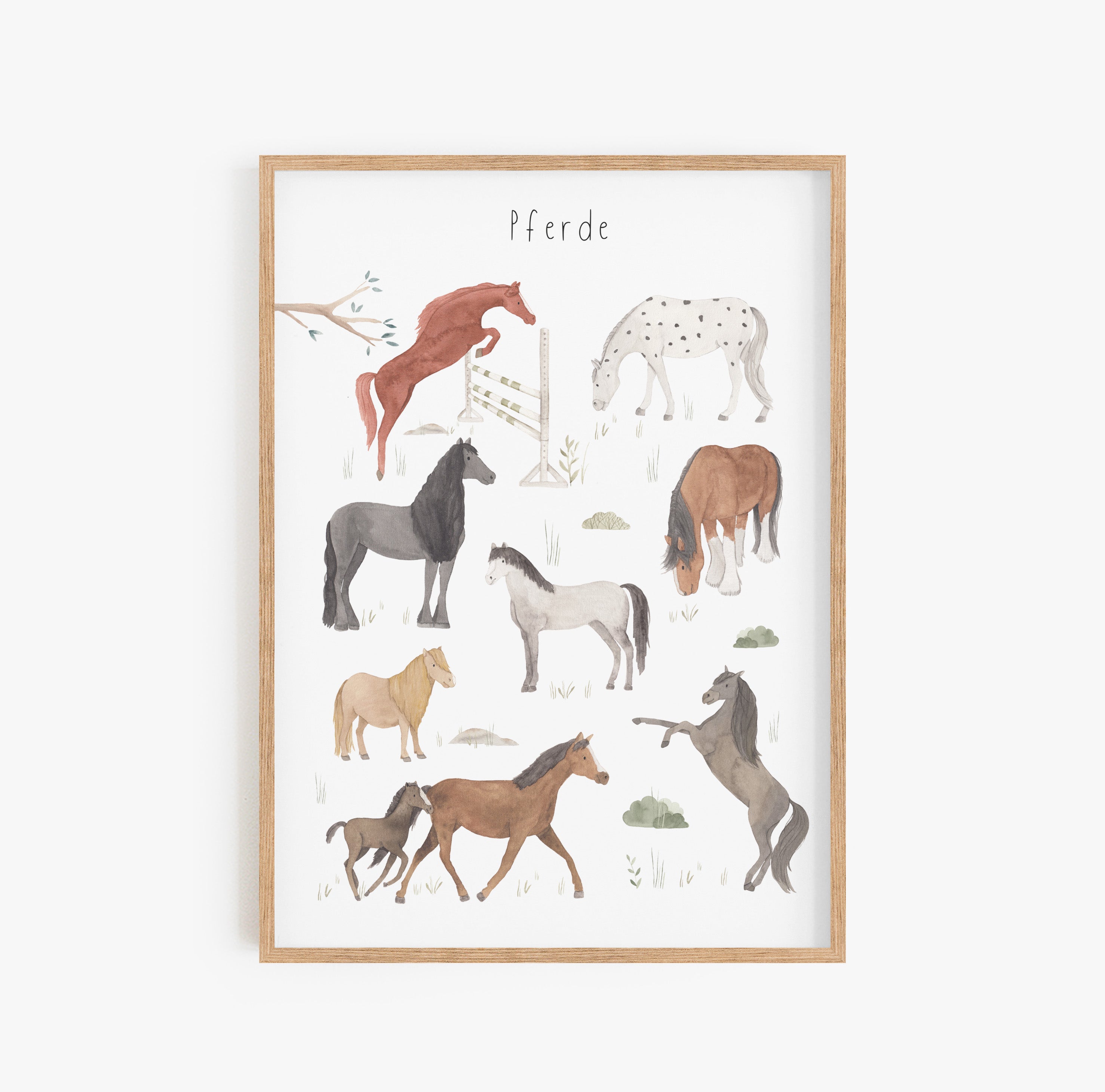 Poster/Kunstdruck - Pferde