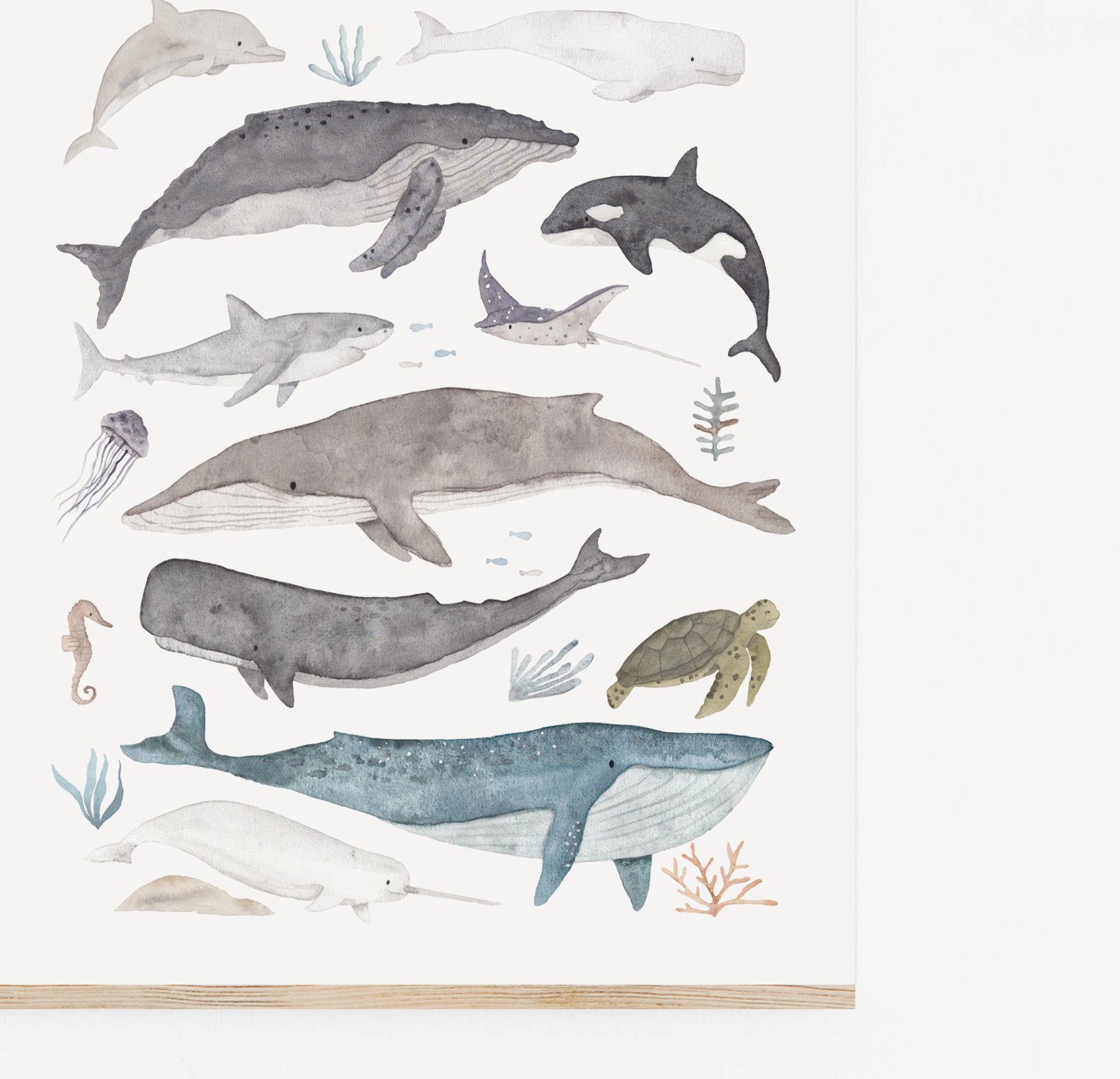 Poster/Kunstdruck - Meerestiere neu
