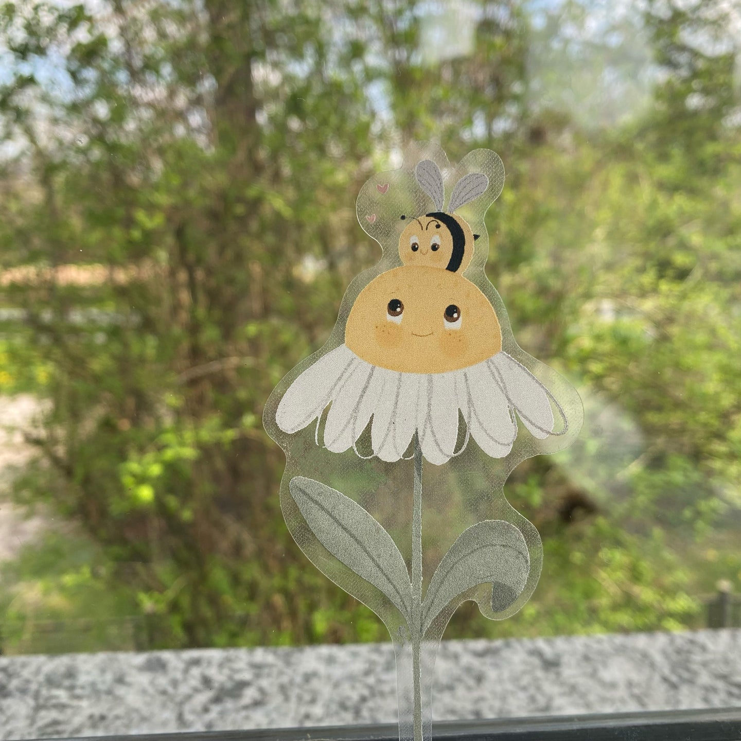 Fensterbild elektrostatisch - Gänseblümchen mit Biene