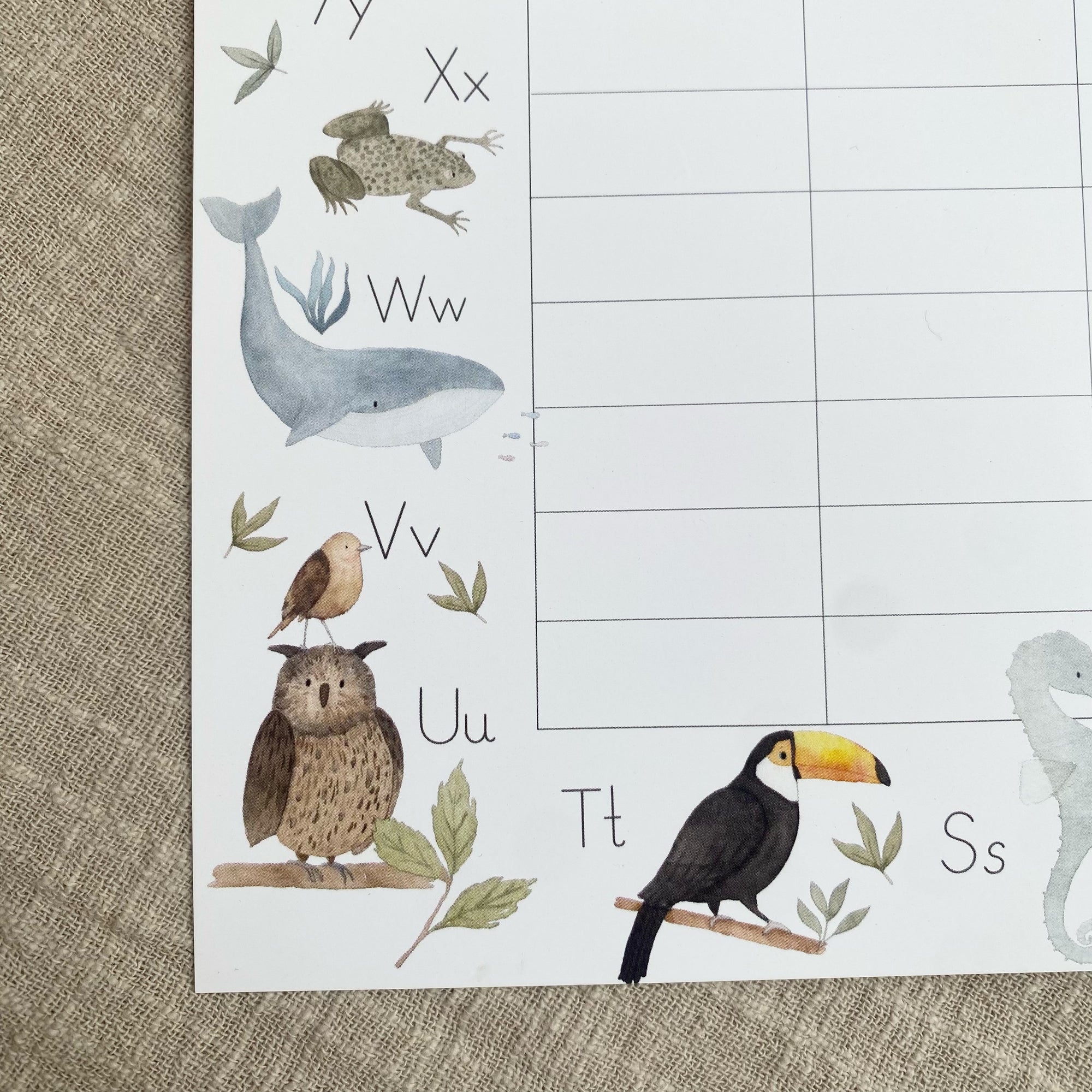 Stundenplan - ABC Tiere