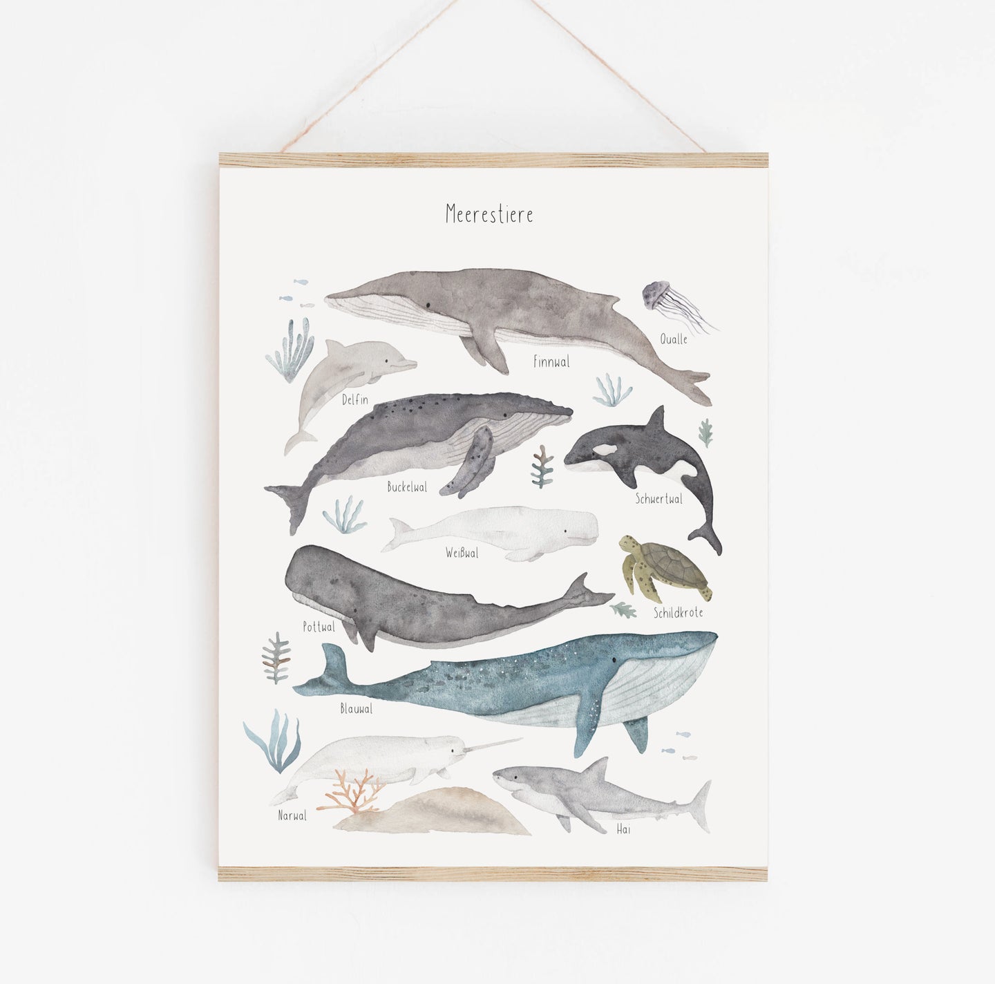 Poster/Kunstdruck - Meerestiere neu