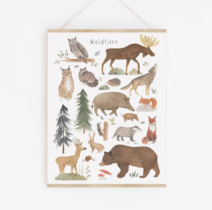 Poster/Kunstdruck - Waldtiere