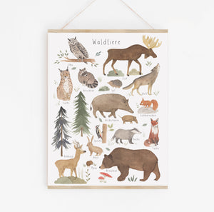 Poster/Kunstdruck - Waldtiere