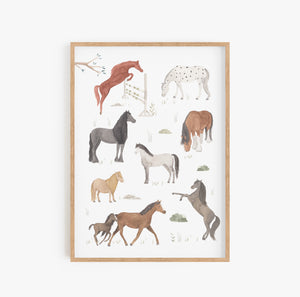 Poster/Kunstdruck - Pferde