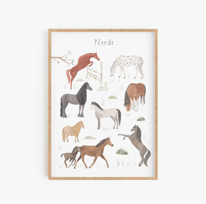 Poster/Kunstdruck - Pferde