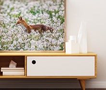 Laden Sie das Bild in den Galerie-Viewer, Fotografie - Fuchs im Pusteblumenfeld