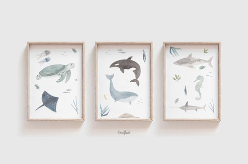 Kunstdruck/Poster - Meerestiere im Set