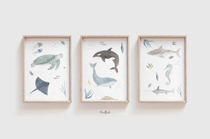 Kunstdruck/Poster - Meerestiere im Set