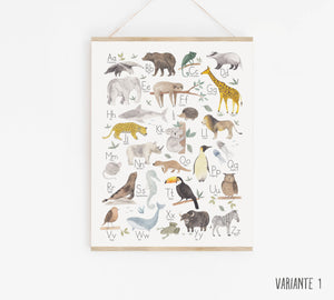 Kunstdruck/Poster - Alphabet Tiere / Tieralphabet / ABC