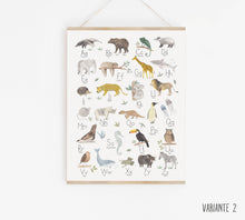 Laden Sie das Bild in den Galerie-Viewer, Kunstdruck/Poster - Alphabet Tiere / Tieralphabet / ABC