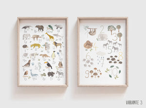2 er Set Kunstdruck/Poster - Tieralphabet + Zahlen / ABC + Zahlen