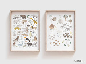 2 er Set Kunstdruck/Poster - Tieralphabet + Zahlen / ABC + Zahlen
