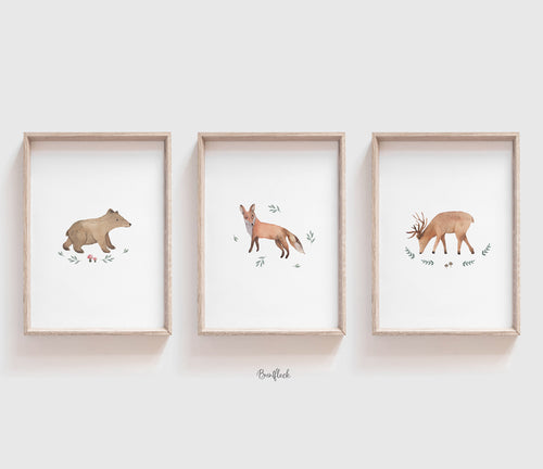 Kunstdruck/Poster - Set aus Waldtieren